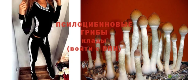 тгк Ладушкин