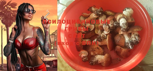 тгк Ладушкин