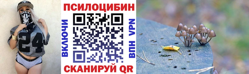дарк нет телеграм  Щёлкино  Псилоцибиновые грибы GOLDEN TEACHER 
